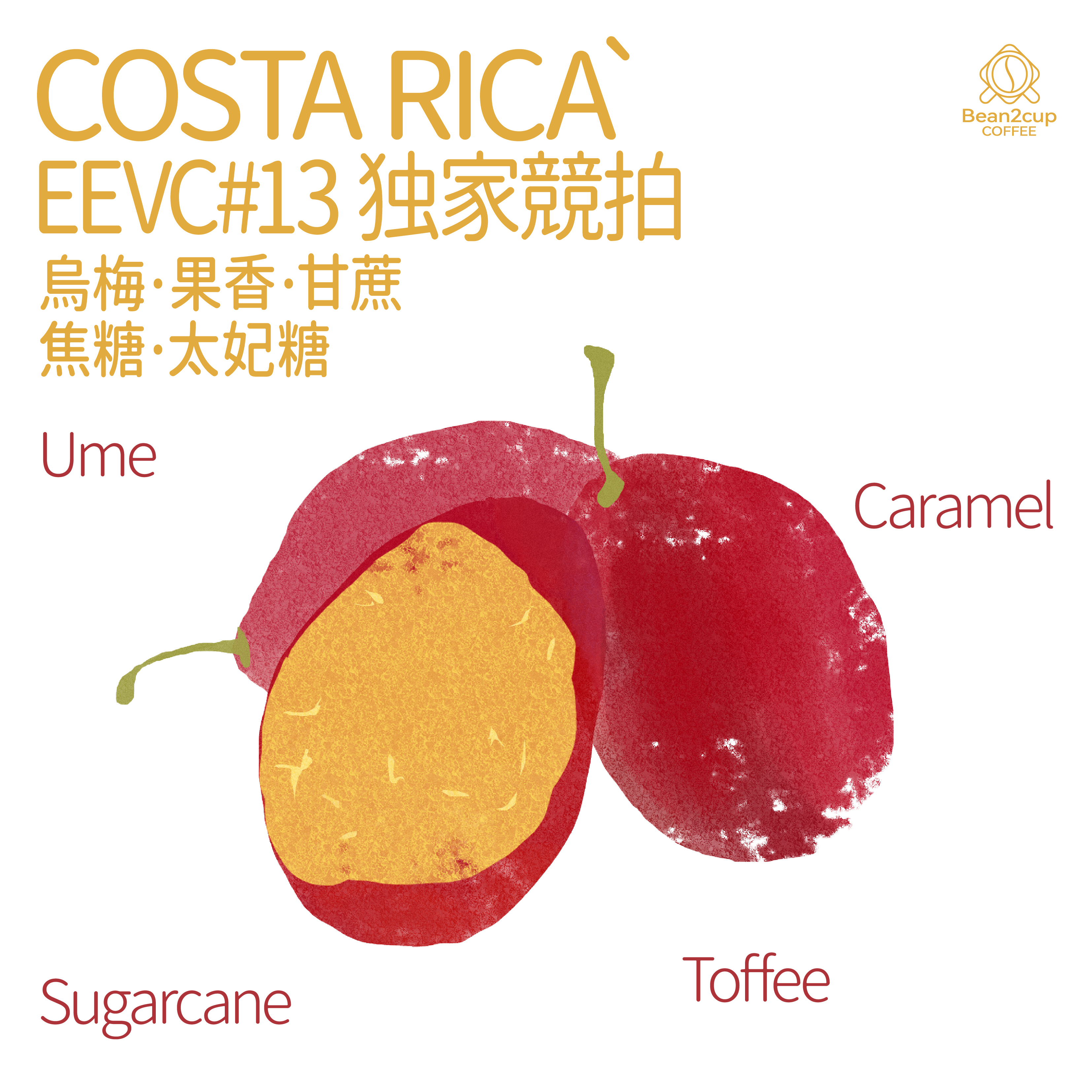 哥斯达黎加 埃雷迪亚 中央山谷 拾叁 白蜜处理 BEAN2CUP 单品咖啡豆